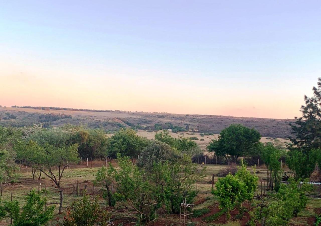 Little Forest Farm Magaliesburg Esterno foto